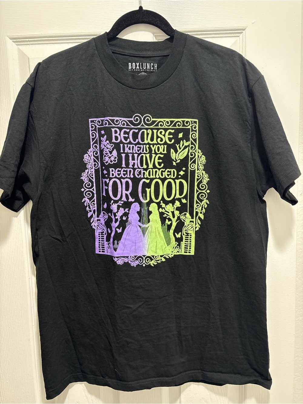 Men’s Black Graphic Tee with Purple-Green Fairy Tale Print